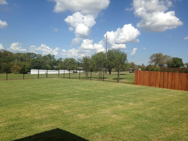 Pet-Proofing Your Backyard Starting With Proper Fencing