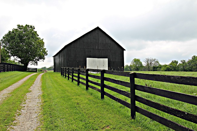 4 Advantages of a Split Rail Fence