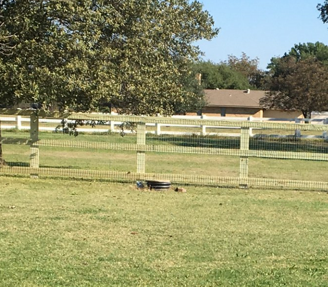 Using a Split Rail Fence to Create a Garden Focal Point