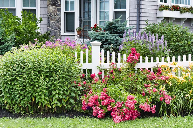 Fence Contractor