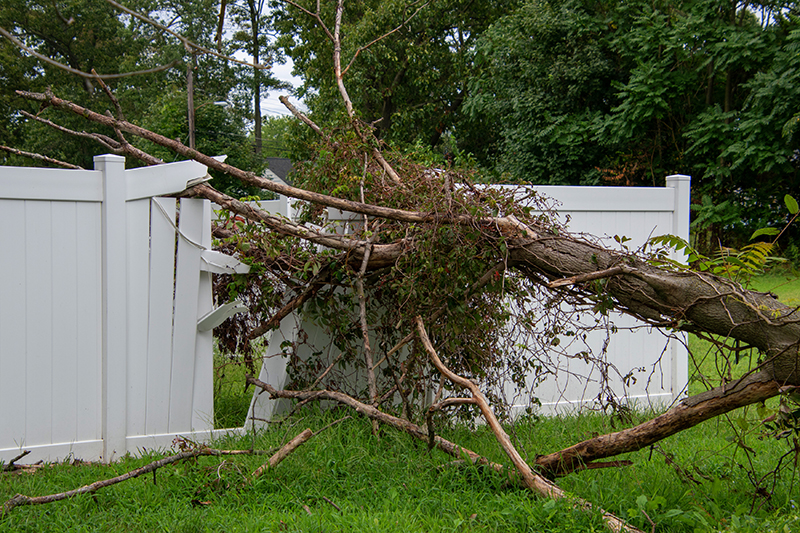 Is a Fence Covered By Homeowner's Insurance?