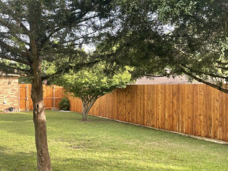 wood fencing