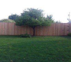 Professional Fence Builder