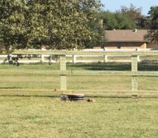 Professional Fence Builder